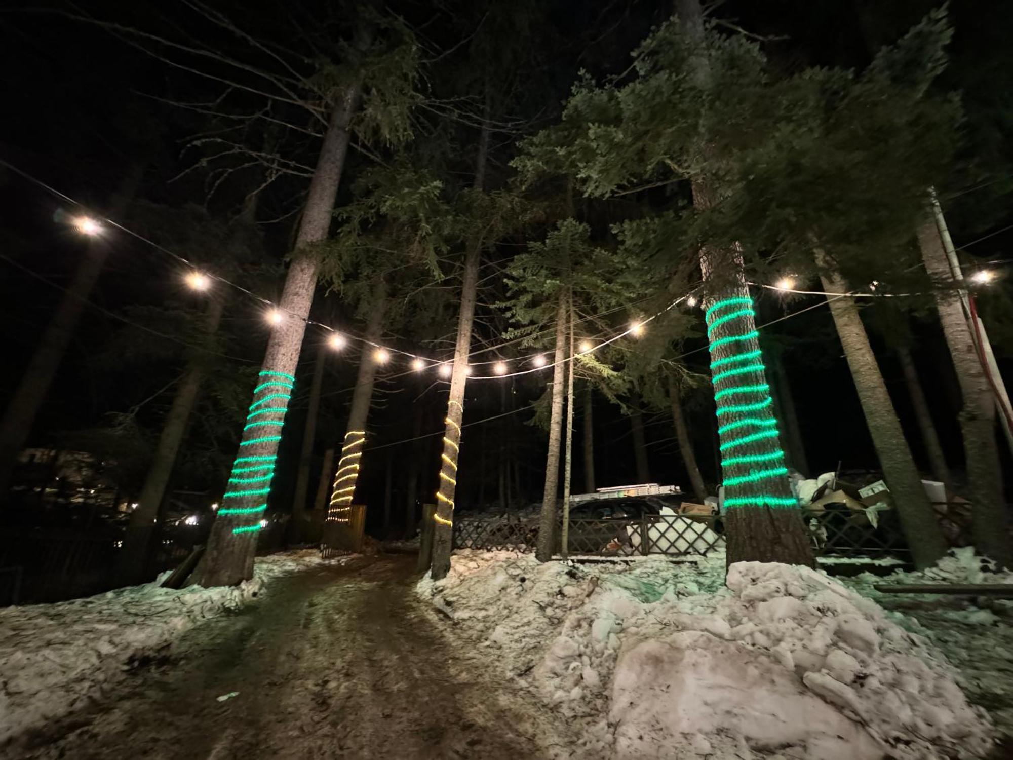 The Forest Villa 波罗维茨 外观 照片