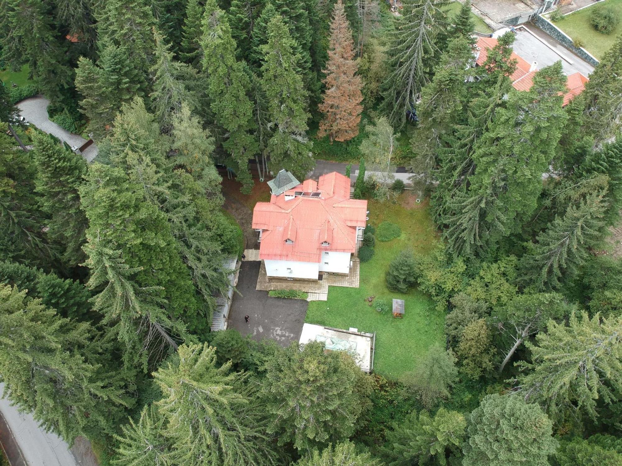 The Forest Villa 波罗维茨 外观 照片