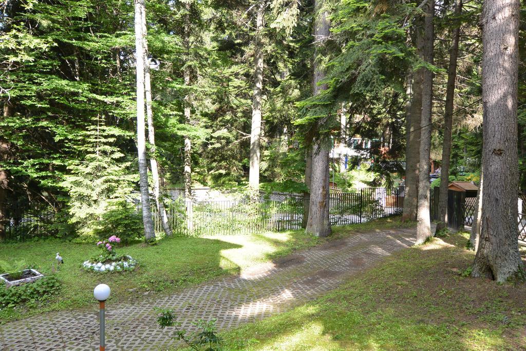 The Forest Villa 波罗维茨 外观 照片
